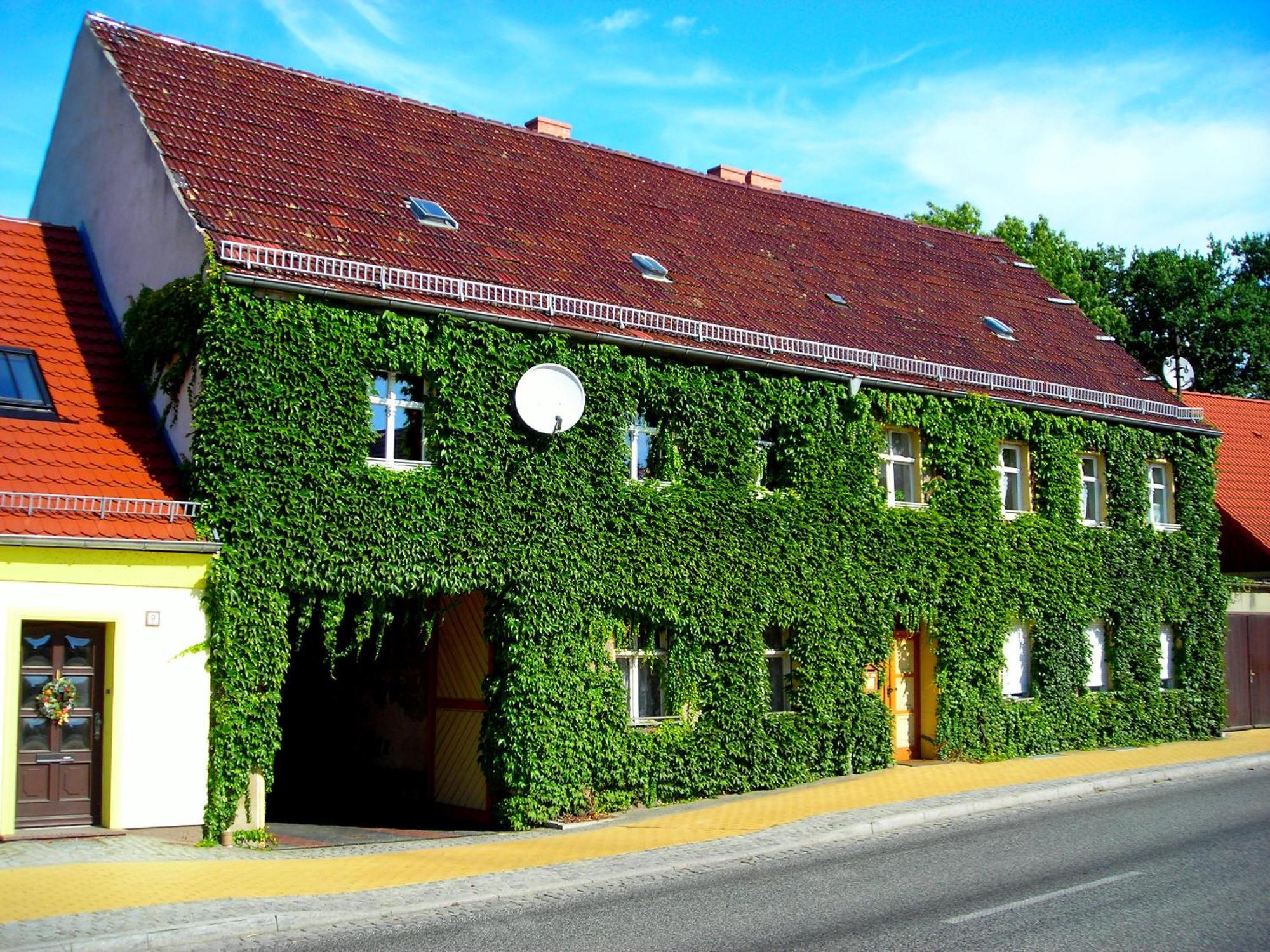 Ferienwohnung Auf Ehem. Alten Bauernhof Liebenwalde Exterior foto